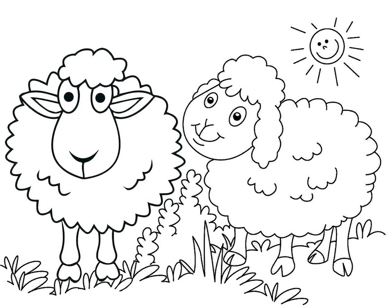 Cute Sheep Coloring Page - 74+ Popular SVG Design