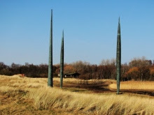 157_stoomhuisje_transparante_huid_3