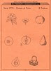 timbrescaoutchouc p16
