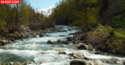 GIF: Río fluyendo entre las piedras (Gif #5767)