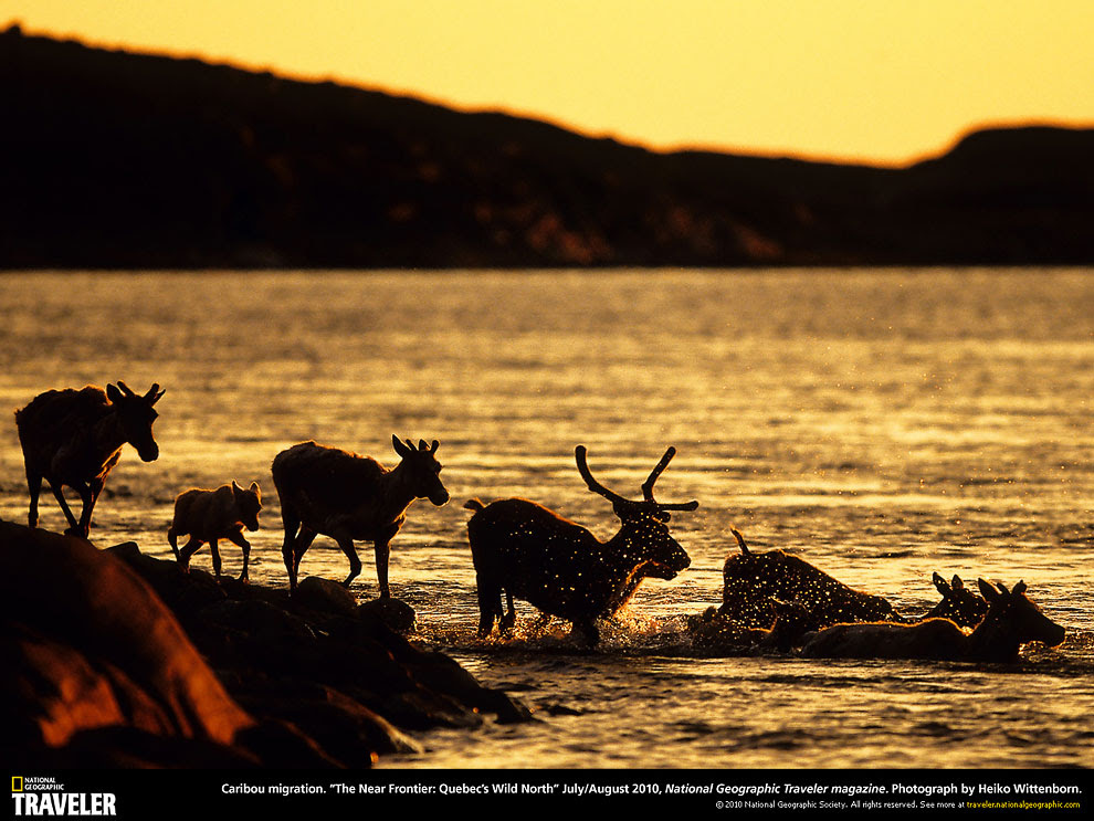 Путешествуем с National Geographic