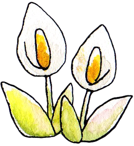 無料イラスト画像 最新のhd水 芭蕉 イラスト