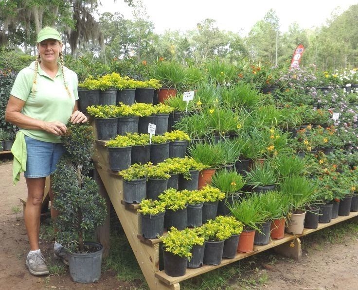 Plant Nursery Business Plan G4rden Plant