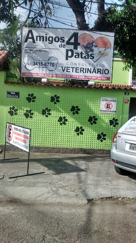 Avaliações sobre Amigos de 4 Patas em Rio de Janeiro - Veterinário