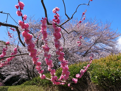 R0012815