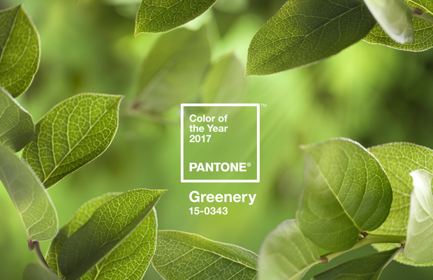 Resultado de imagem para cor pantone 2017 greenery na decoração