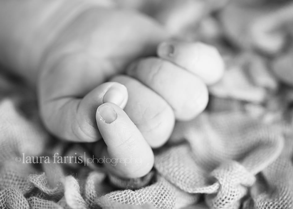 boise idaho baby photographer