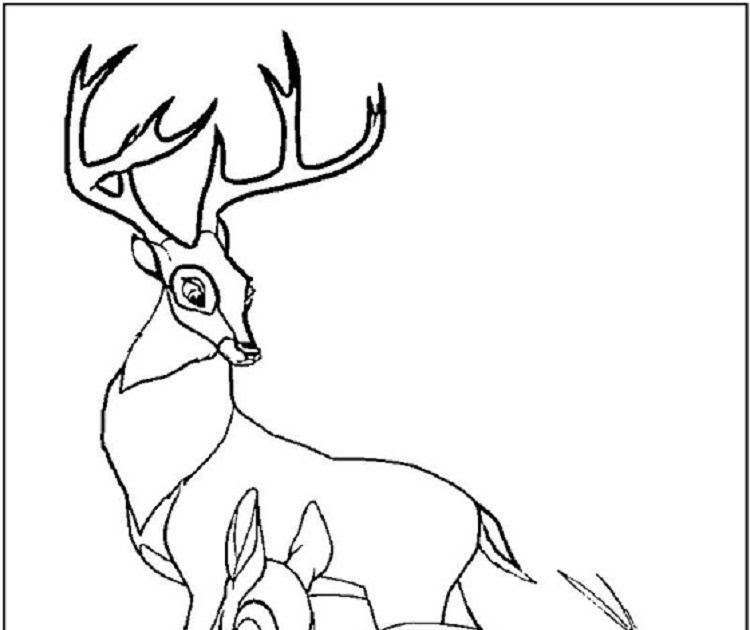 20 Deer Family Coloring Pages - Free Printable Coloring Pages