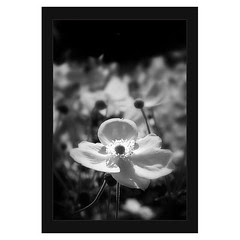 utställning_5