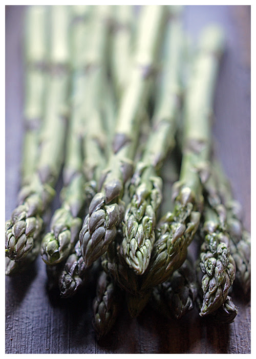 asparagus© by Haalo