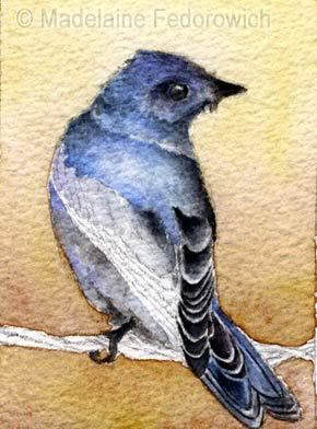 Bluebird ACEO