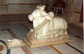 Dipa ki Kuch Anjali: Question: Why is there is tortoise in front of Nandi?