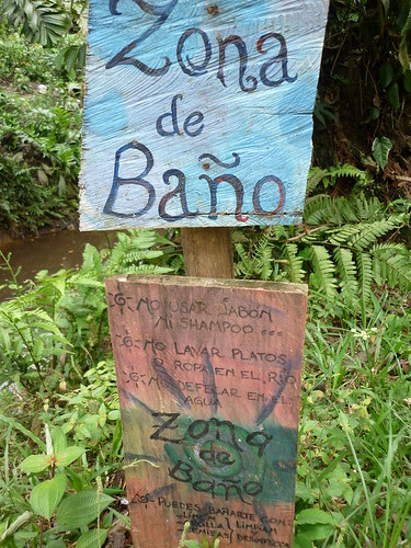 P1000590