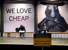 Cheap_01