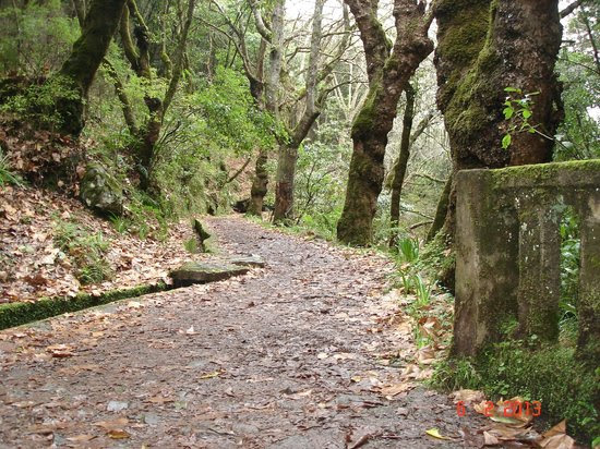 Photos of Levada Walks, Funchal
