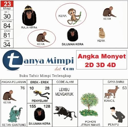 13+ Tafsir Mimpi Digigit Monyet Togel