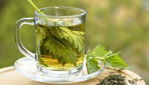 Qanı tərtəmiz edir, qaynadıb için