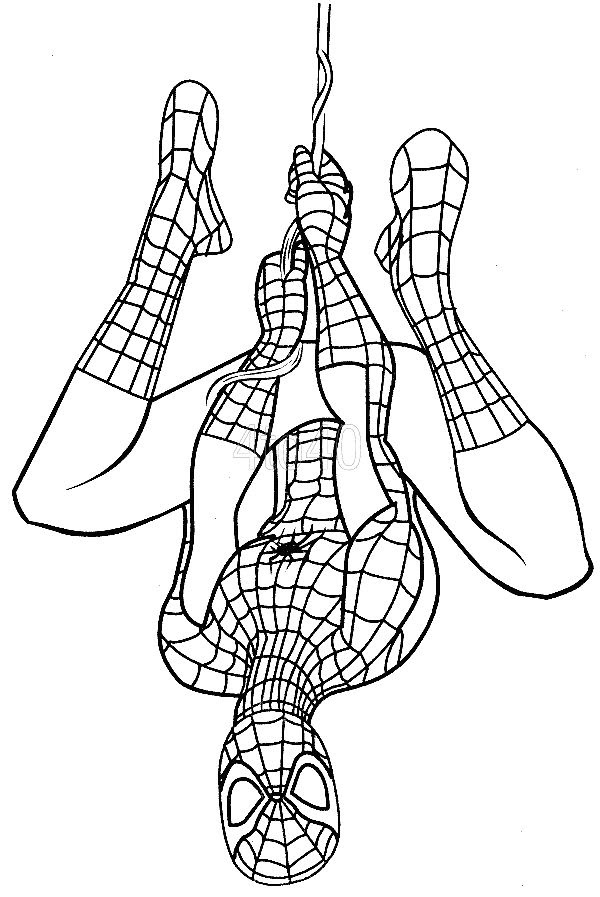 Featured image of post How To Draw Spiderman Hanging Upside Down