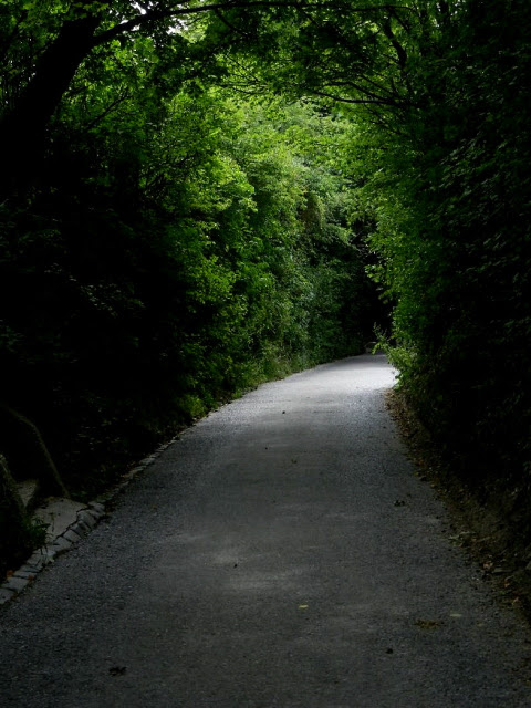 Kahlenberg_2012_20