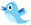 wedding twitters follow