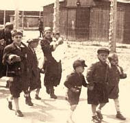 Auschwitz kids