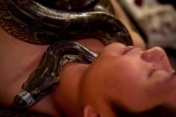 cobras massagistas