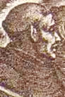 Bruno Bonifacio de Querfurt, Santo