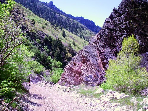Pipe Hill May 8 2007