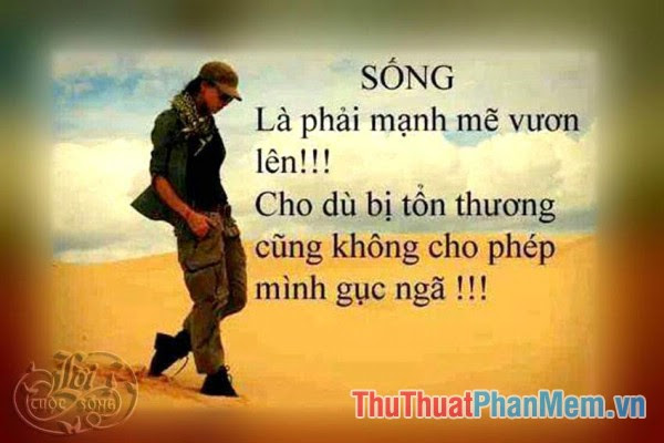 Những câu nói hay về cuộc sống - 3