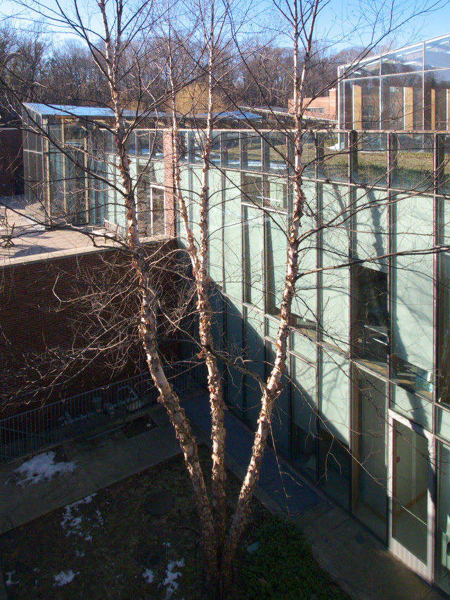 Greenwich Academy