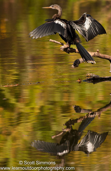 Photo & Video Sharing by SmugMug Photo & Video Sharing by SmugMug