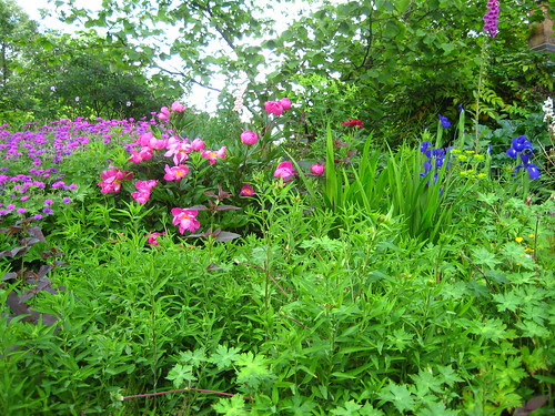 Flowerbed3