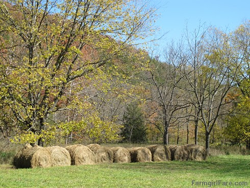 (24-3) This was our first year putting up round bales of hay. We didn't get many, but it's better than none - FarmgirlFare.com