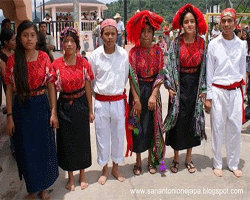 http://www.deguate.com/artman/uploads/23/nejapa1.gif