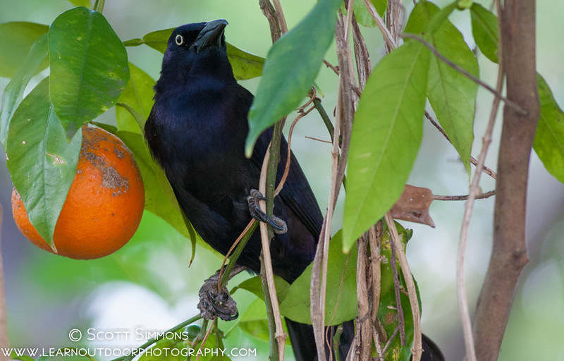 Photo & Video Sharing by SmugMug Photo & Video Sharing by SmugMug