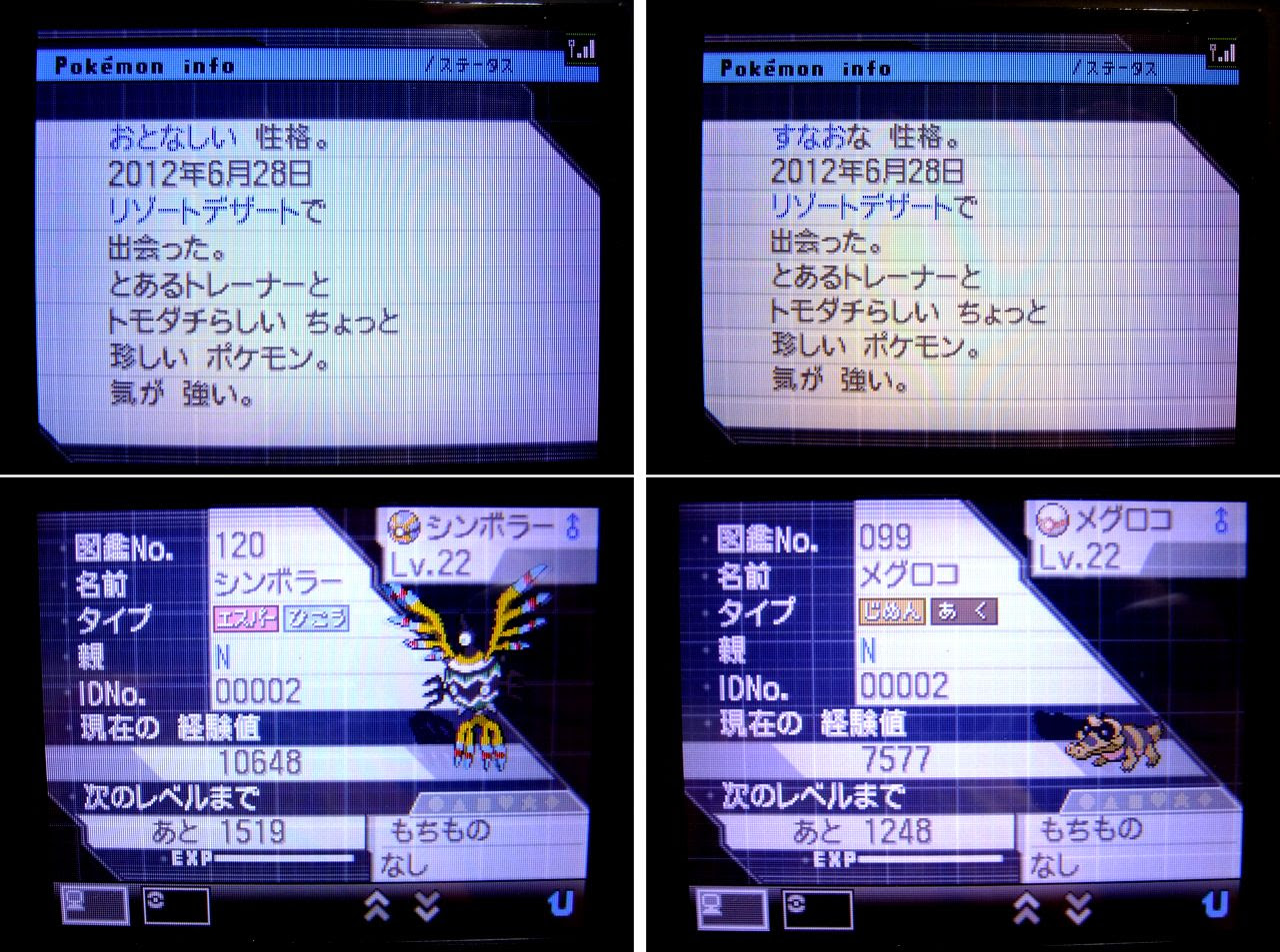 6u ポケモン イメージポケモンコレクション