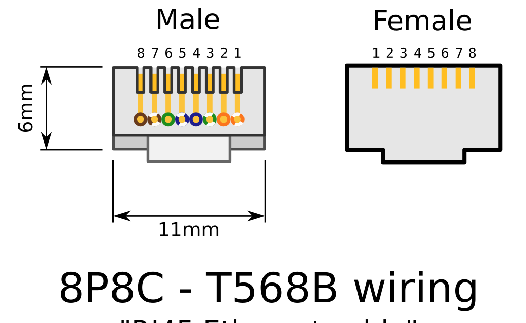 Wiring Rj45 Plug - How to Make Your Own Ethernet Cables | Bowes IT