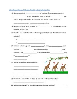 Webquest Evolution And Natural Selection Answer Key : 8+ Mutation The
