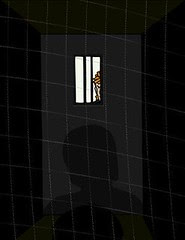 Solitary Confinement