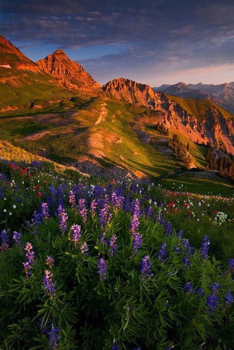 Beautiful Quiet Places To Live - Happy Beautifully