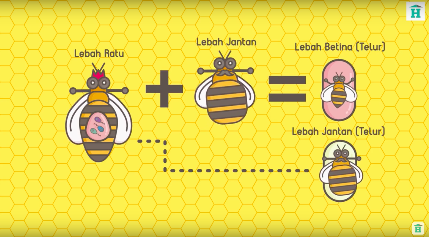 Gambar Tutorial Membuat Karakter Animasi Sederhana Adobe Gambar Tutorial Membuat Karakter Animasi Sederhana Adobe