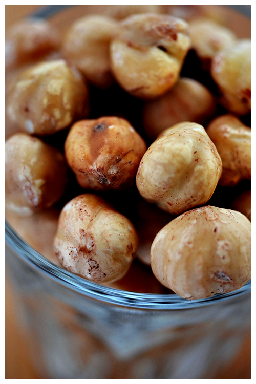 hazelnuts© by Haalo
