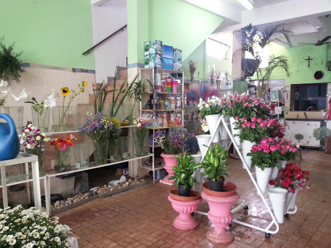Floricultura Emilia - Floricultura