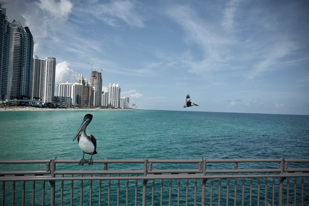 20140327-CLIMATE-US-slide-YJGH-jumbo.jpg