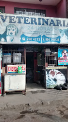 VETERINARIA 24 HORAS