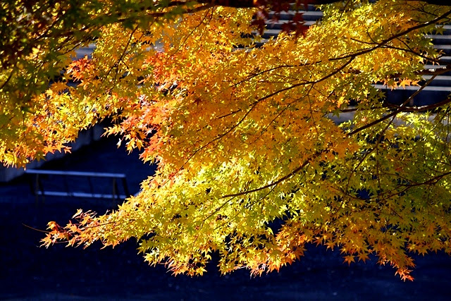 92 (640x427, 247Kb)