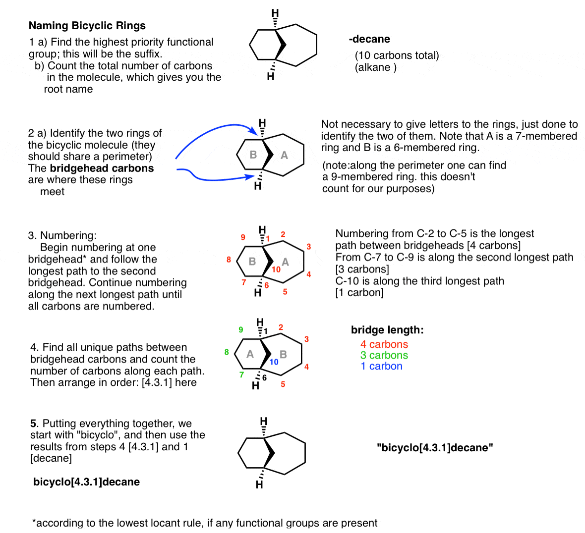 chemistry-world-naming-bridgehead-carbons