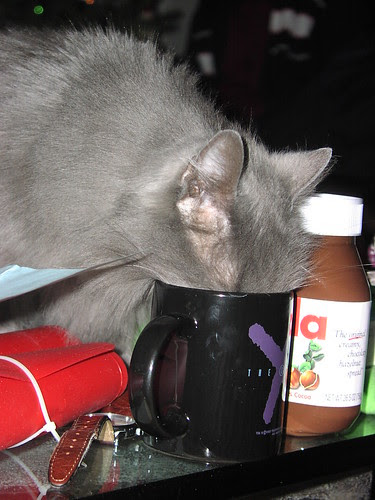 Gruff drinking milk