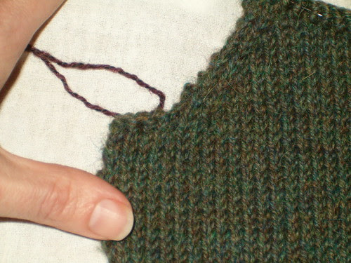Hpim1095