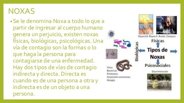 NOXAS